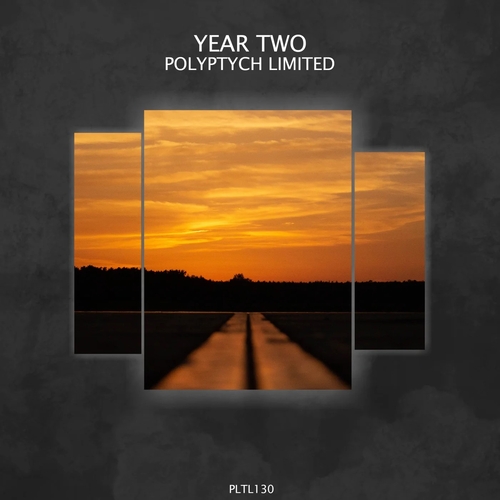 VA - Polyptych Limited Year Two [PLTL130]